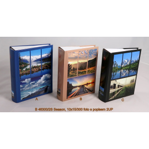 b_46300-2s_season