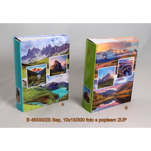 b_46300-2s_sep