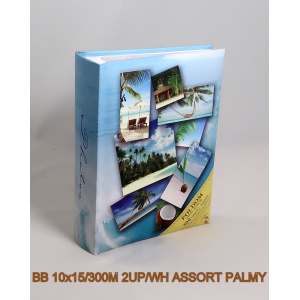 bb_10x15-300m_2up-wh_assort_palmy