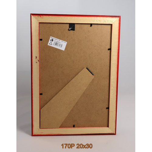170p_20x30_-
