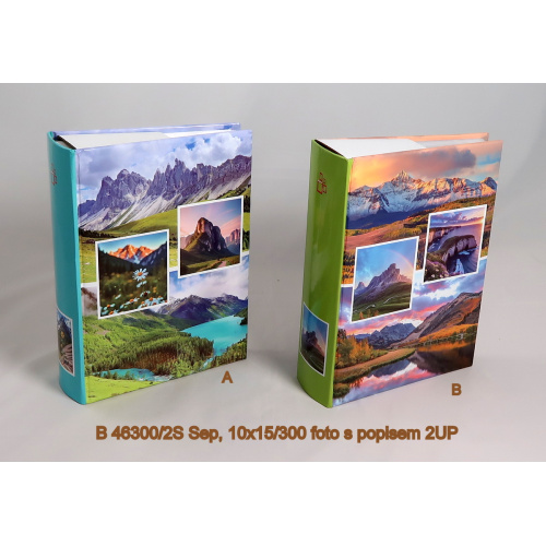 b_46300-2s_sep