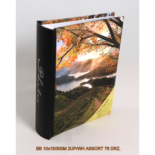 bb_10x15-300m_2up-wh_assort_76_drz