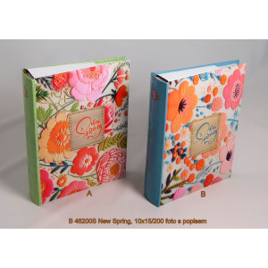 b_46200s_new_spring