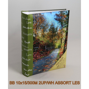 bb_10x15-300m_2up-wh_assort_les