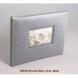 dbcsh_20_love_silver