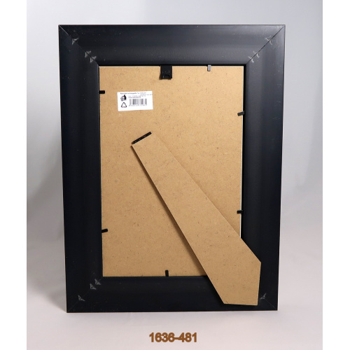 1636-481_----_1988556834