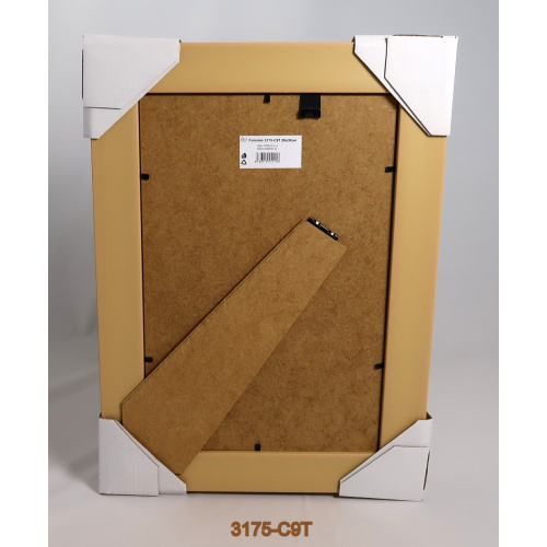 3175-c9t_--_132419210