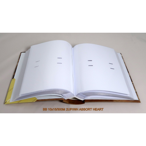 bb_10x15-300m_2up-wh_assort_heart_-